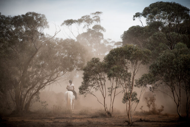 Film stills by Sam Oster